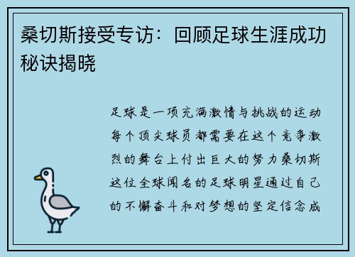 桑切斯接受专访：回顾足球生涯成功秘诀揭晓